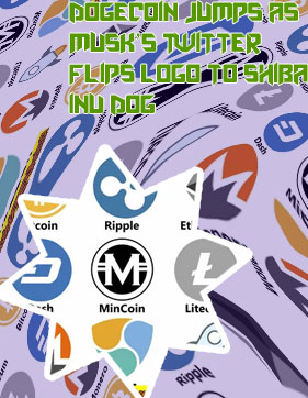 Crypto coin logo